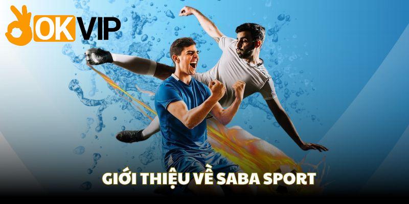 Top các loại hình giải trí nổi bật ở SABA Sports